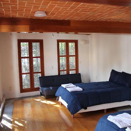Casa Frida Coyoacan メキシコシティ エクステリア 写真