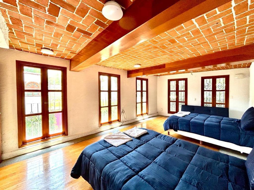 Casa Frida Coyoacan メキシコシティ エクステリア 写真