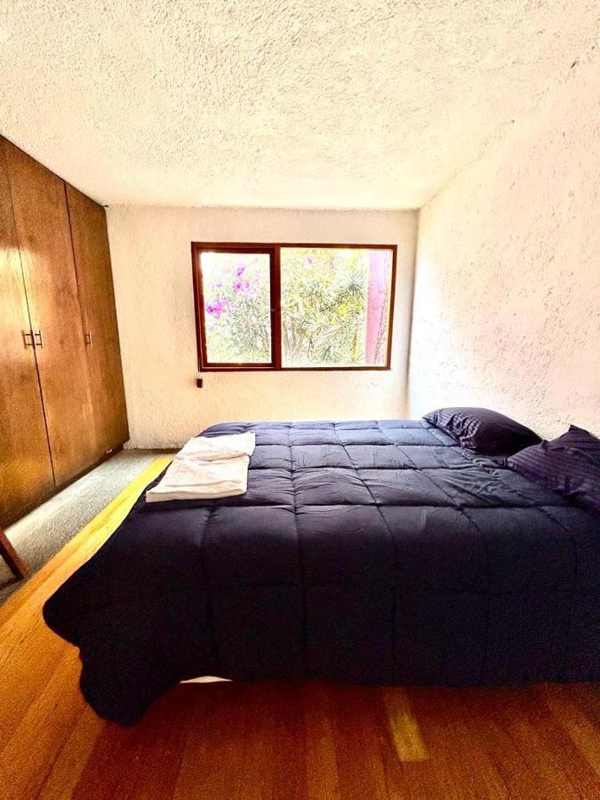 Casa Frida Coyoacan メキシコシティ エクステリア 写真