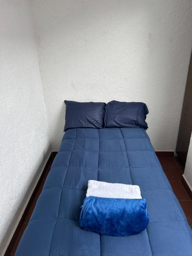 Casa Frida Coyoacan メキシコシティ エクステリア 写真