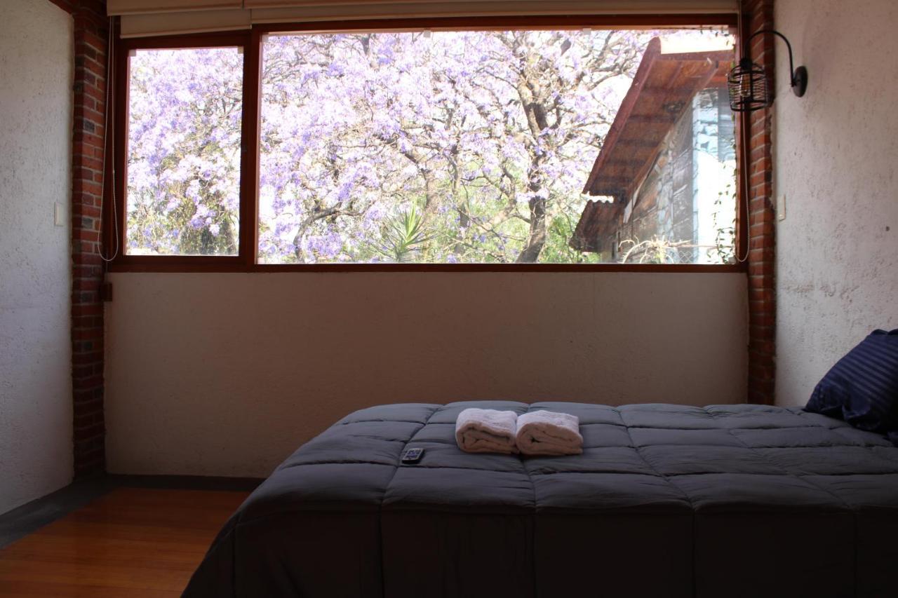 Casa Frida Coyoacan メキシコシティ エクステリア 写真
